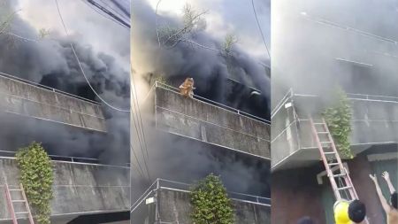 Video | ¡Amor voraz! En un fuerte incendio, una mujer lanzó a sus perros desde un tercer piso antes de evacuar Diseno sin titulo 10