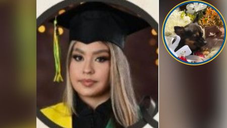 VIDEO: Fiel hasta el último momento: el perrito de Mariana Galvis custodia el sueño eterno de su persona favorita Fiel hasta el ultimo momento el perrito de Mariana Galvis custodia el sueno eterno de su persona favorita