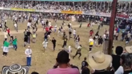 Gobernación de Antioquia recuerda normas obligatorias para proteger animales en corralejas