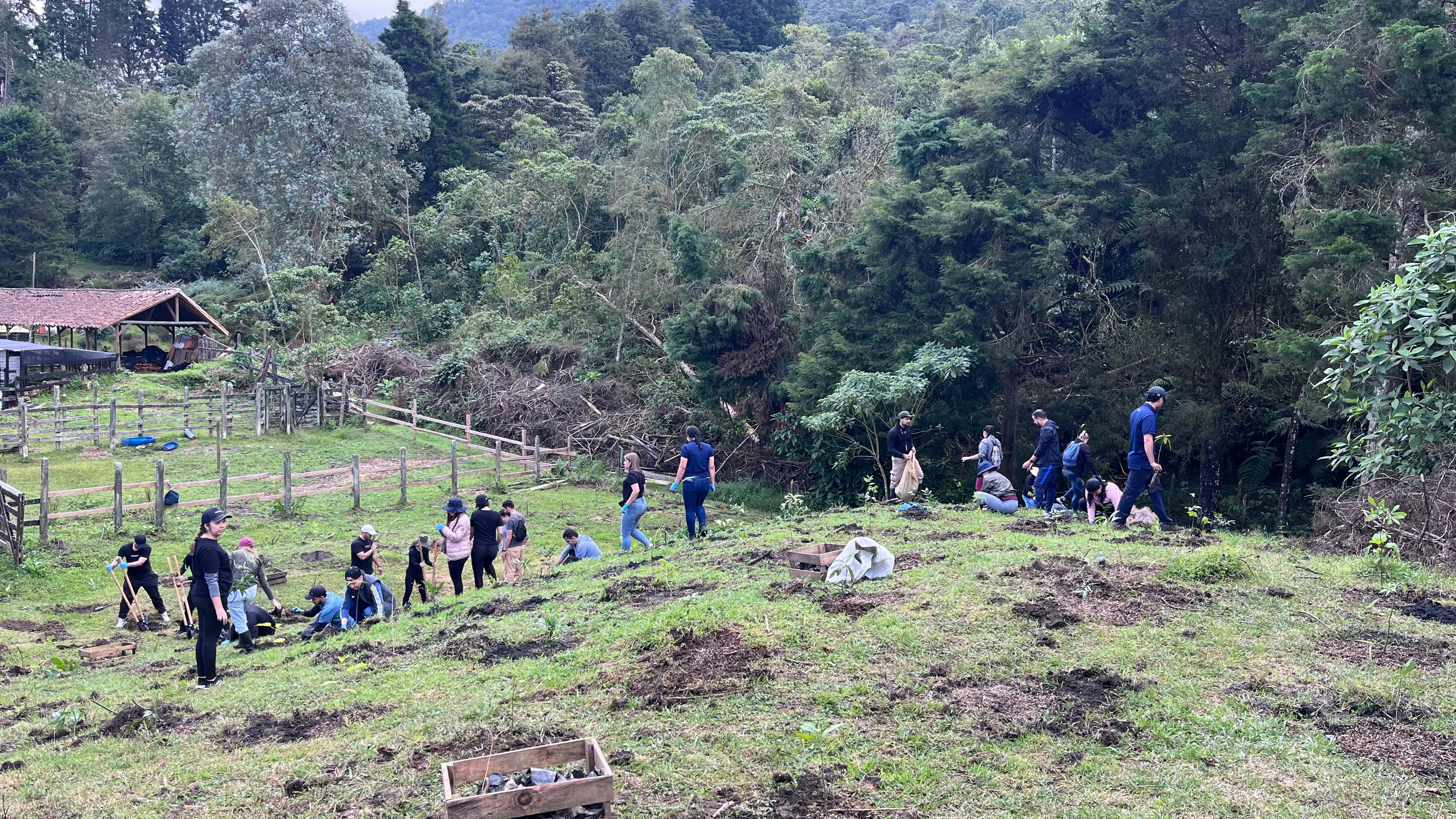 Sabaneta fortalece su pulmón verde: 300 nuevos árboles llegan a la Reserva La Romera