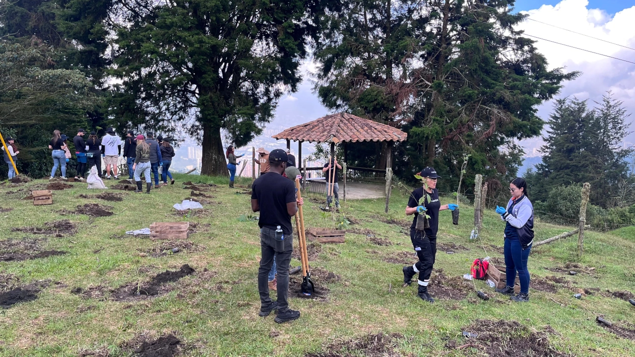 Sabaneta fortalece su pulmón verde: 300 nuevos árboles llegan a la Reserva La Romera