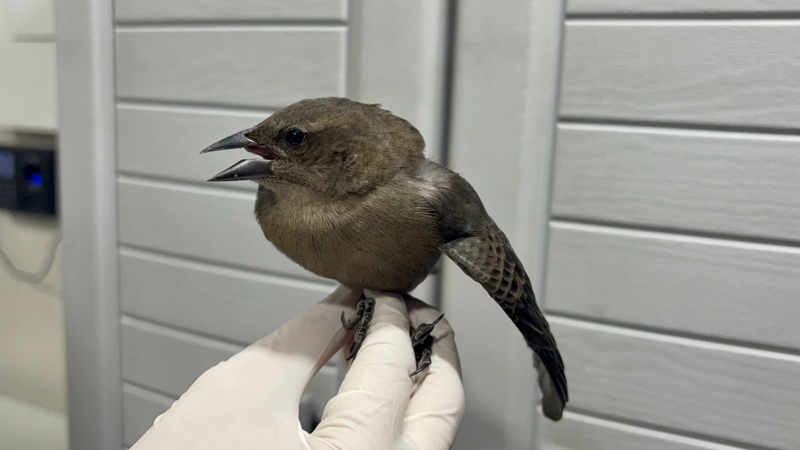 WhatsApp Image 2025 12 03 at 06.48.30