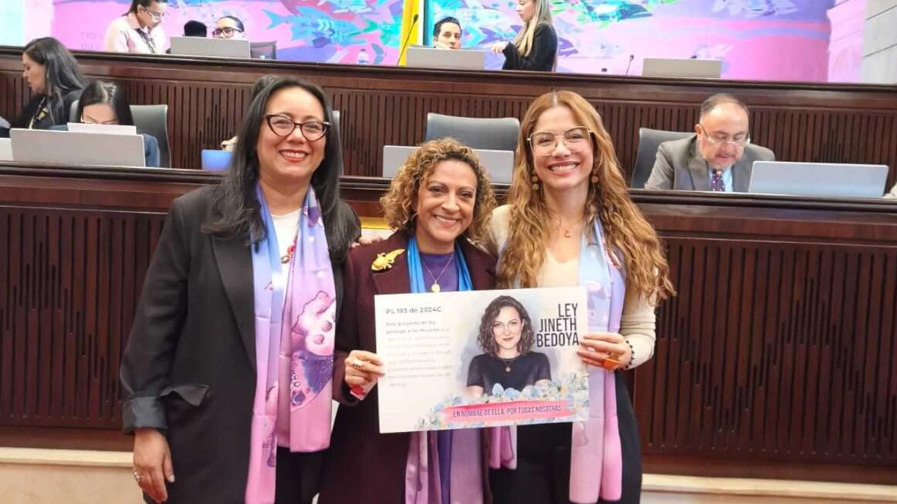 ley Jineth Bedoya