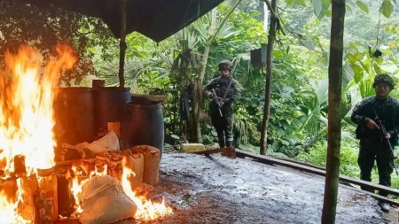 Ejército destruye cinco laboratorios de coca en Oriente antioqueño Ejército destruye cinco laboratorios de coca en Oriente antioqueño