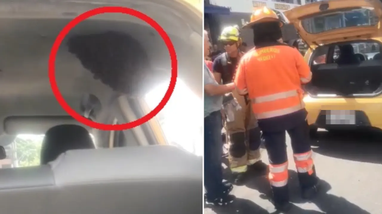 Taxi en Medellín se llenó de abejas y bomberos intervinieron rápidamente Taxi en Medellín se llenó de abejas y bomberos intervienen rápidamente