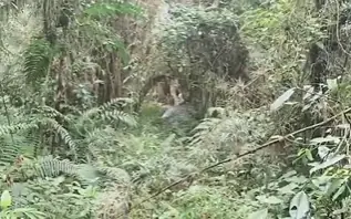 Ejército destruye explosivos en Briceño y protege a la comunidad