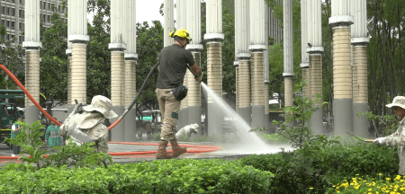 Espacios más limpios y verdes: Medellín celebró el Día de la Educación Ambiental