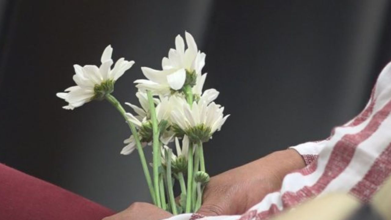 Alarmante balance de violencia en Colombia: 187 líderes sociales fueron asesinados durante 2025 lideres fallecidos