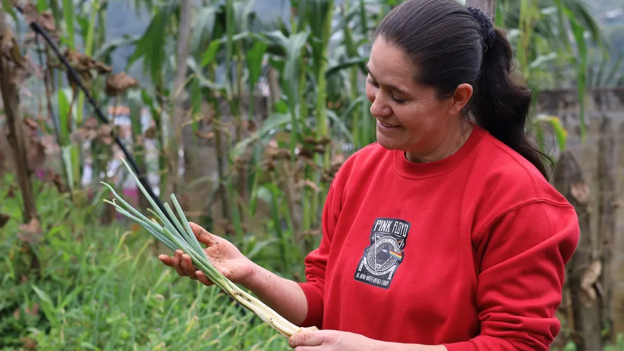 Alcaldía de Medellín lanza programa de huertas caseras para hogares y barrios