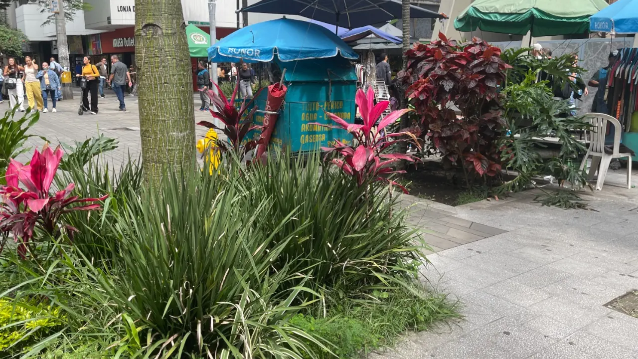 Alcaldía intensifica controles en cinco puntos críticos por acumulación de basuras en Medellín