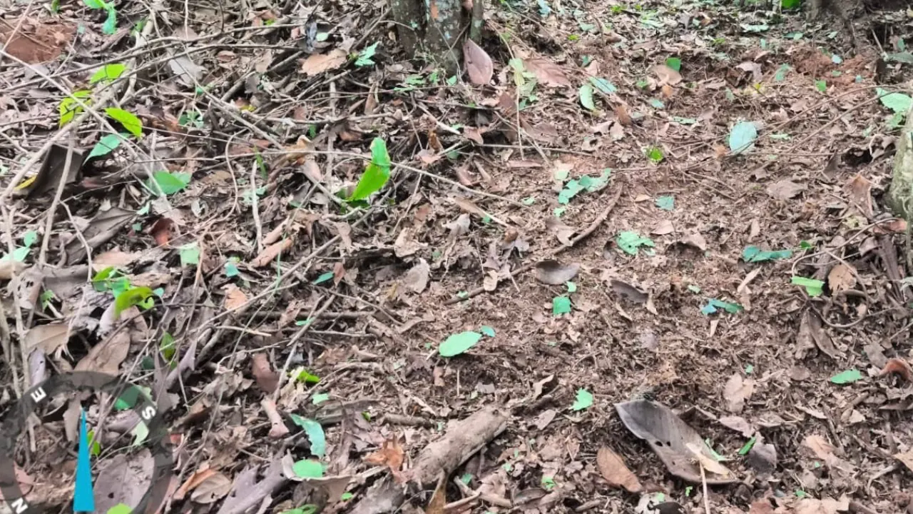 Ejército destruye cuatro explosivos que estaban instalados muy cerca de un corregimiento en Anorí, Antioquia