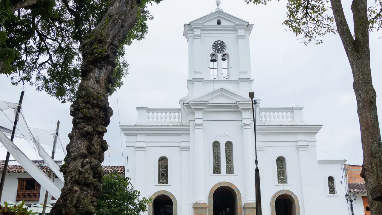 Retirarán histórico árbol del parque principal de Cocorná tras estudio que advierte riesgo de caída 2 Retirarán histórico árbol del parque principal de Cocorná tras estudio que advierte riesgo de caída