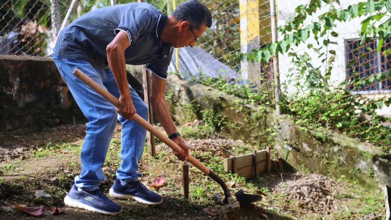 Alcaldía de Medellín lanza programa de huertas caseras para hogares y barrios