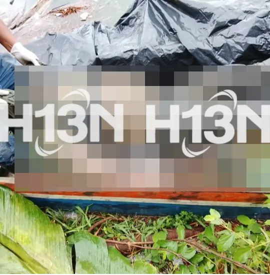 Medicina Legal sobre la muerte de alias ‘Gonzalito’