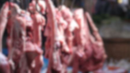 Incautación de carne San Pedro