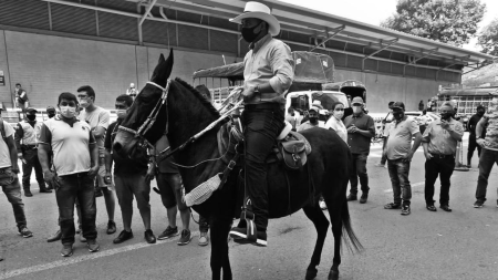 Asesinan en Titiribí a destacado montador de mulas, referente nacional del sector equino