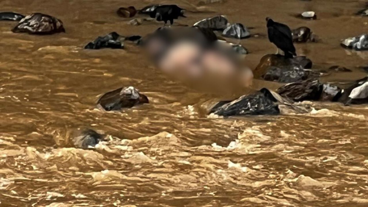 Diseno sin titulo 38 1