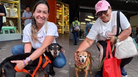 50 'viejitos' encontraron hogar en la adoptatón 'Veteranos de Amor' en Medellín