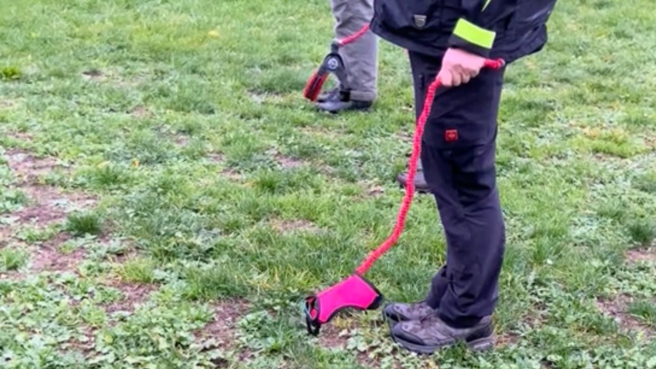 Hobby Dogging: ¿por qué hay gente paseando perros invisibles en las ciudades?