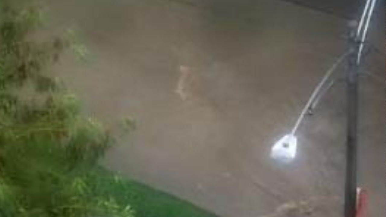 Ni lo intente: el deprimido de la Feria del Ganado está inundado y no hay paso