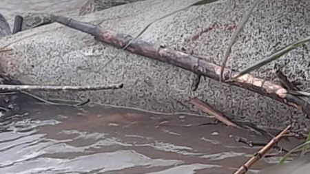Encuentran muerto a un hombre en el río san juan tras de Andes, lo había visto flotando desde ayer
