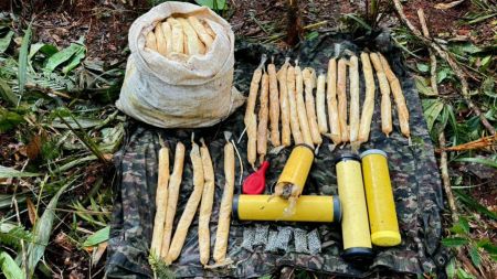 Ejército halla depósito de explosivos del ELN en zona rural de Anorí