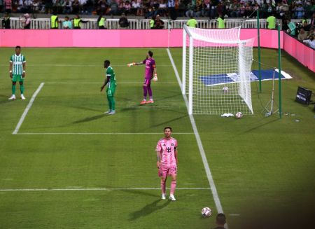 WhatsApp Image 2026 02 01 at 13.20.11