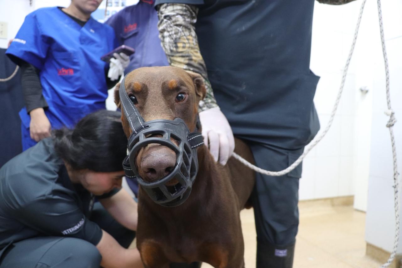 WhatsApp Image 2026 02 26 at 12.31.37 PM