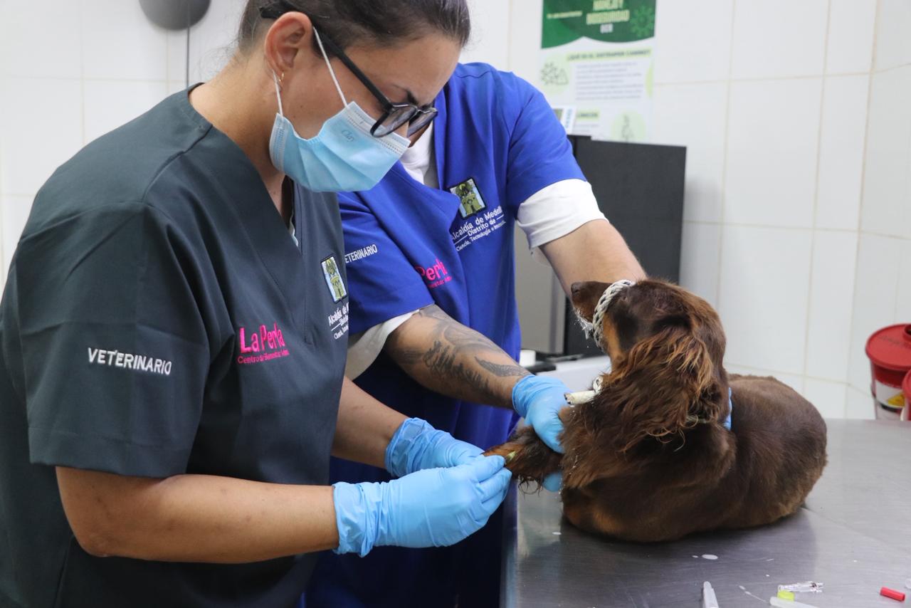 WhatsApp Image 2026 02 26 at 12.31.45 PM