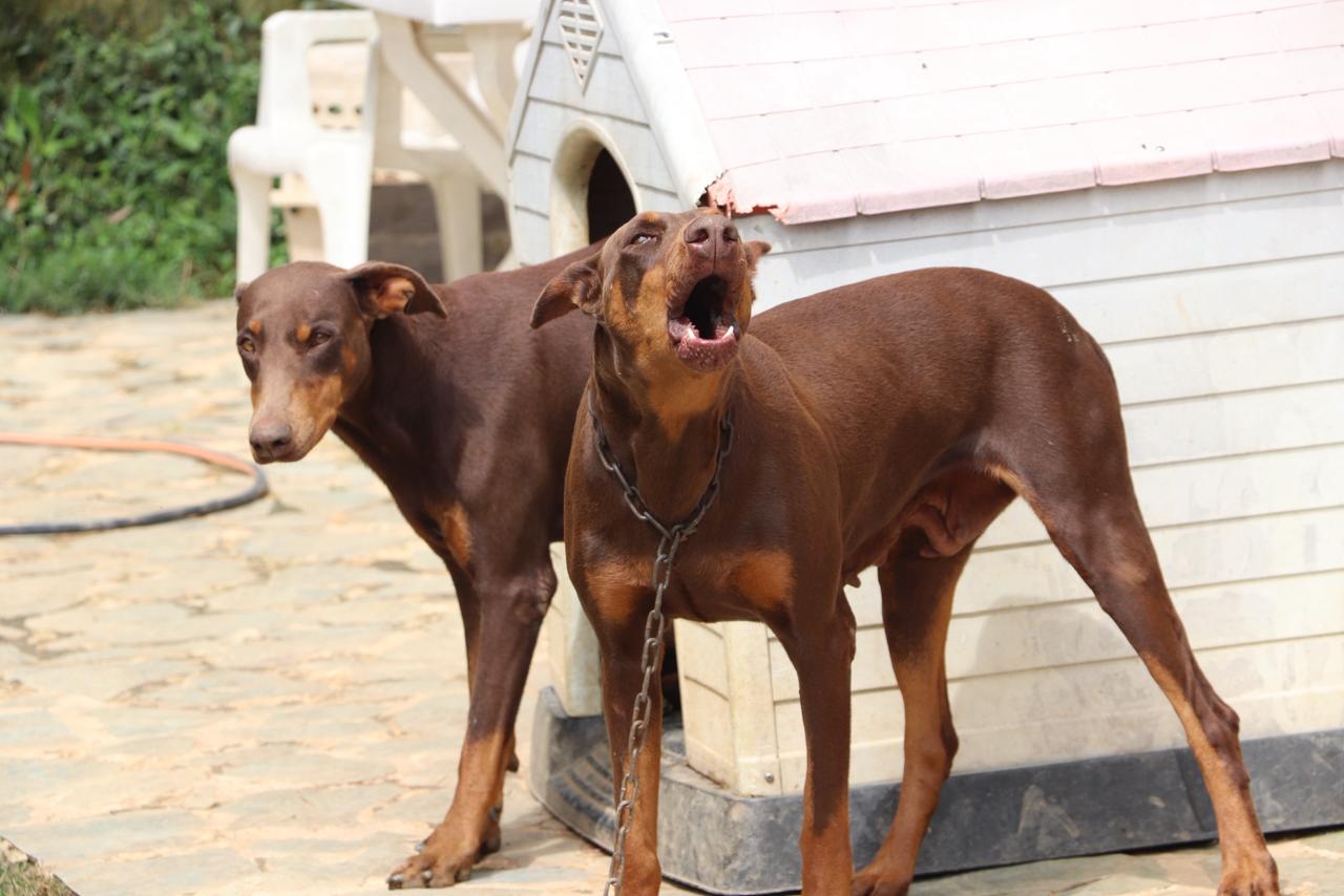 WhatsApp Image 2026 02 26 at 12.31.48 PM