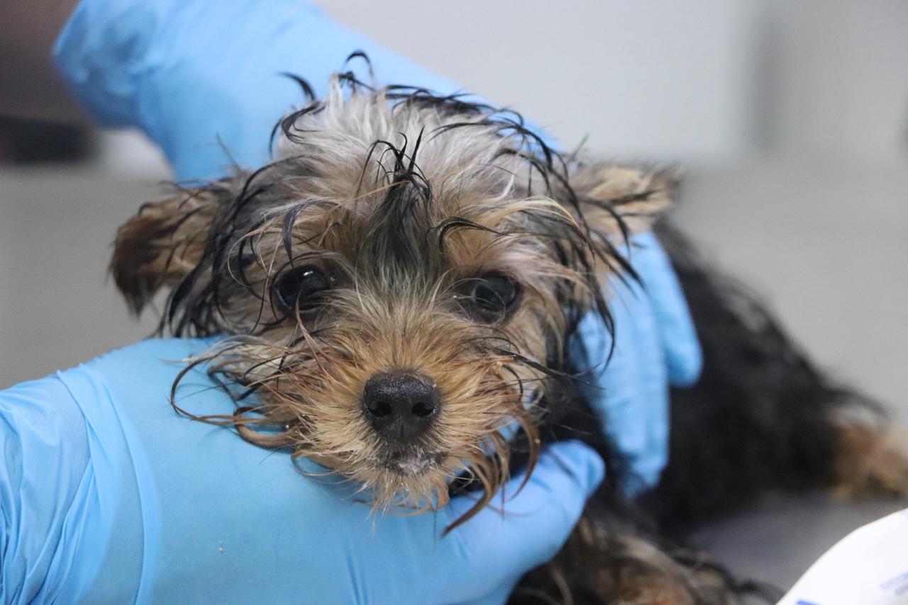 WhatsApp Image 2026 02 26 at 12.31.53 PM 1