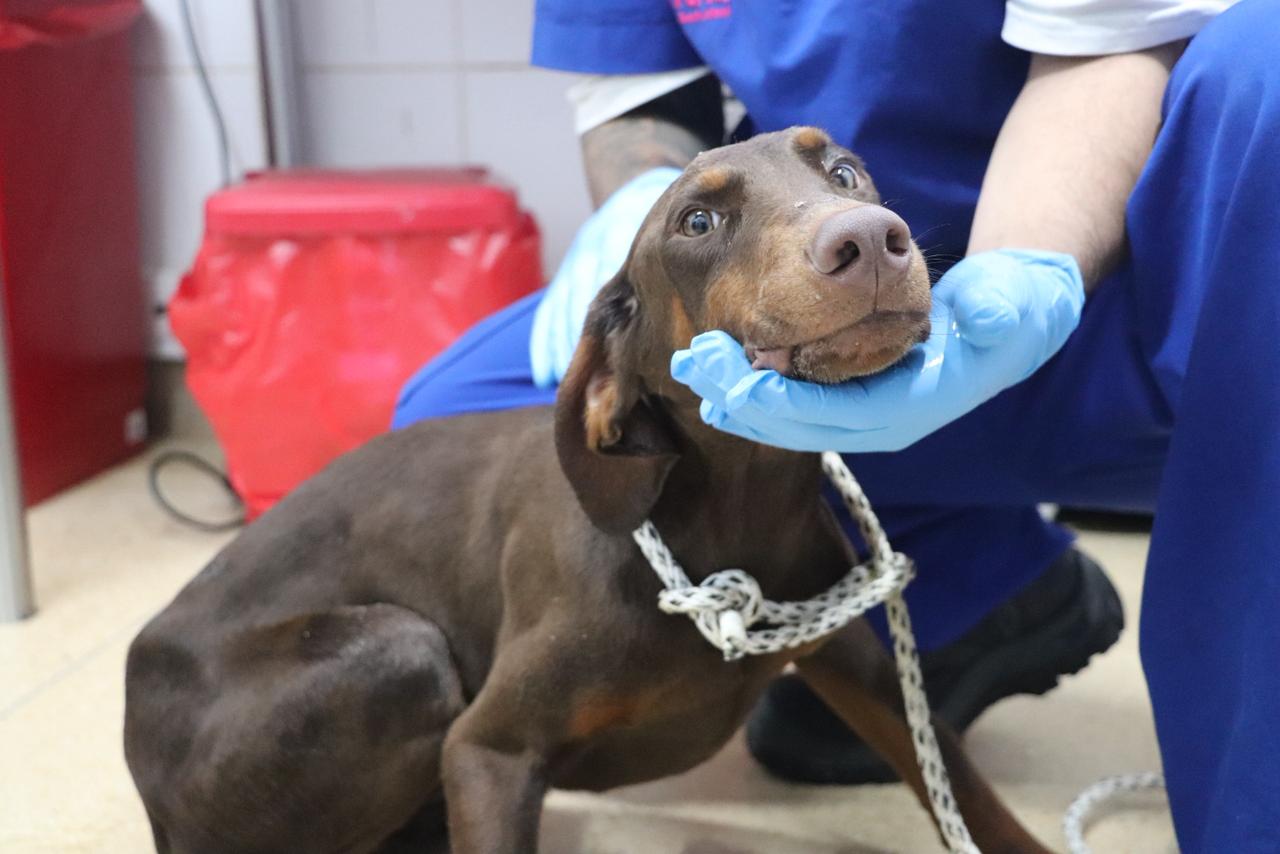 WhatsApp Image 2026 02 26 at 12.32.31 PM