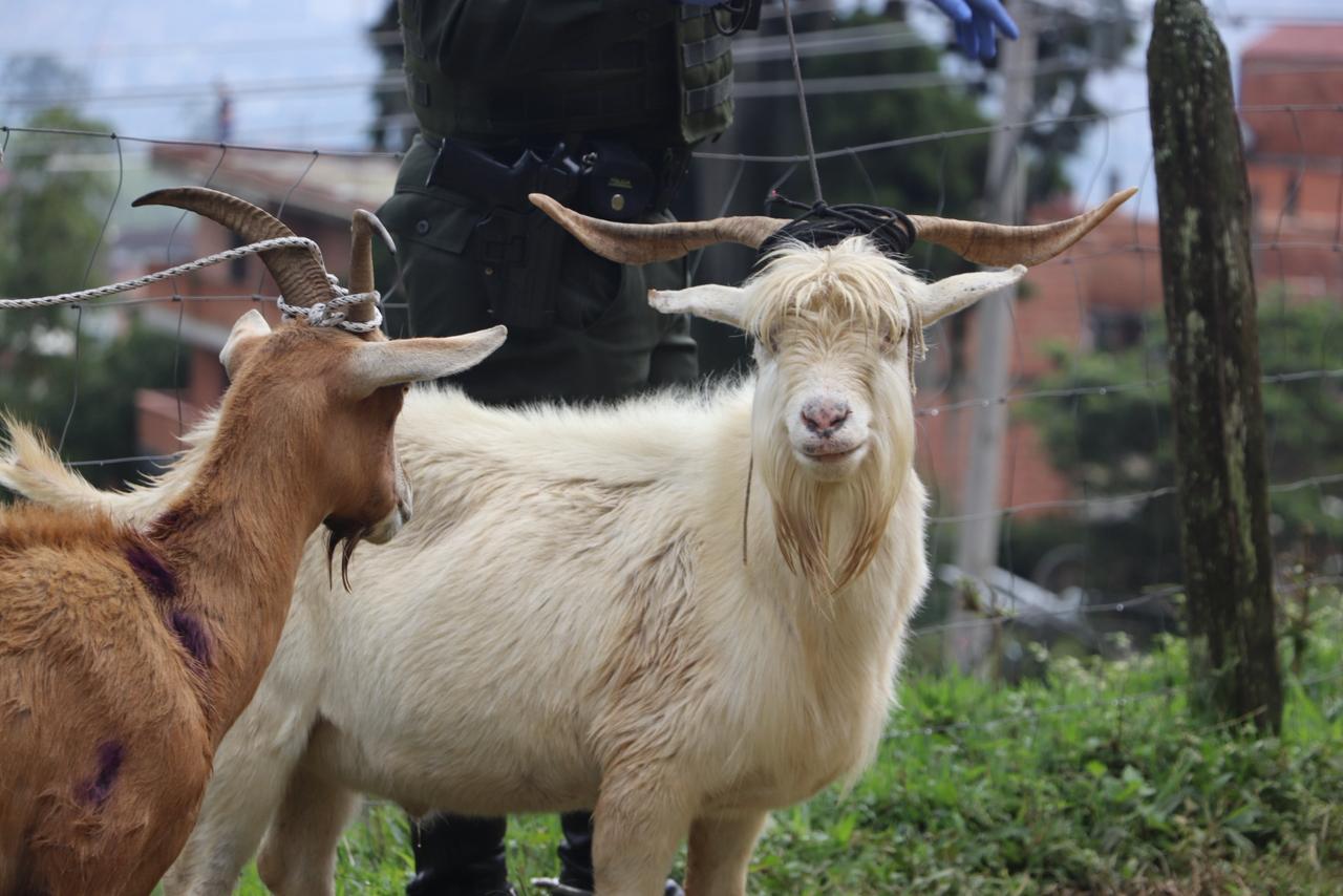 WhatsApp Image 2026 02 26 at 12.32.41 PM