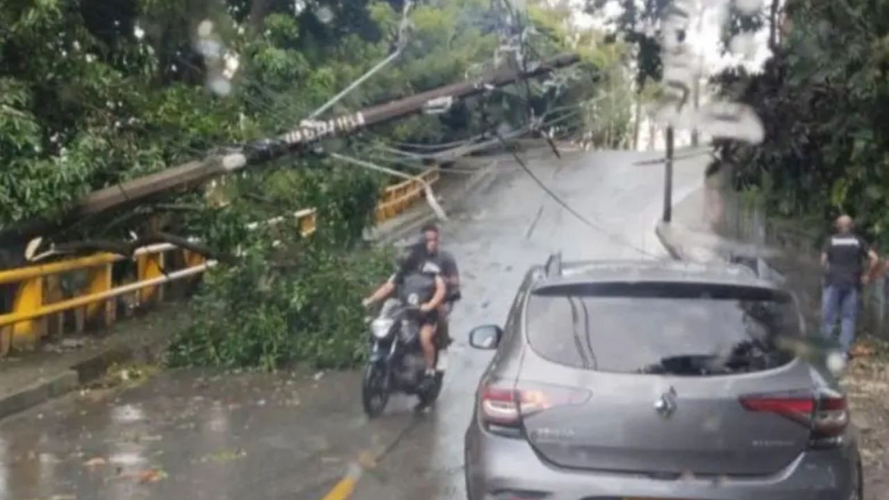Intenso aguacero tumba árboles y deja múltiples barrios sin energía en el sur del Valle de Aburrá capturado aranjuez 1