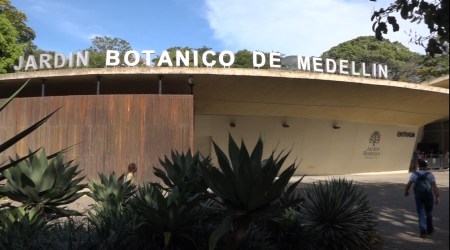 Más de 64 mil entradas gratuitas y actividades culturales para ampliar el acceso a museos, teatros y más