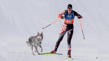 Como un competidor más, un perro lobo se metió a la pista y llegó hasta la recta final