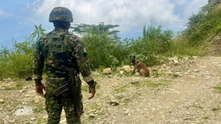 Dos artefactos fueron instalados en vía de Briceño y el Ejército logró destruirlos antes de que explotaran