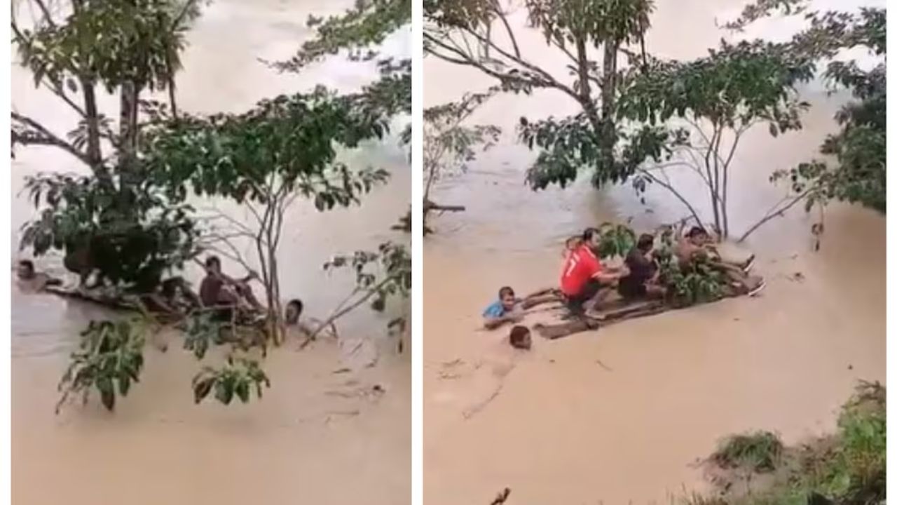 ¡De no creer! Niño duró 15 horas colgado de un árbol durante inundaciones en Urabá