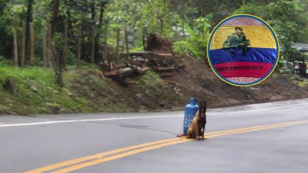 VIDEO: ¡La vía ya está habilitada! Con ayuda de un perro valiente, desactivaron el cilindro bomba en Dabeiba valeria 2