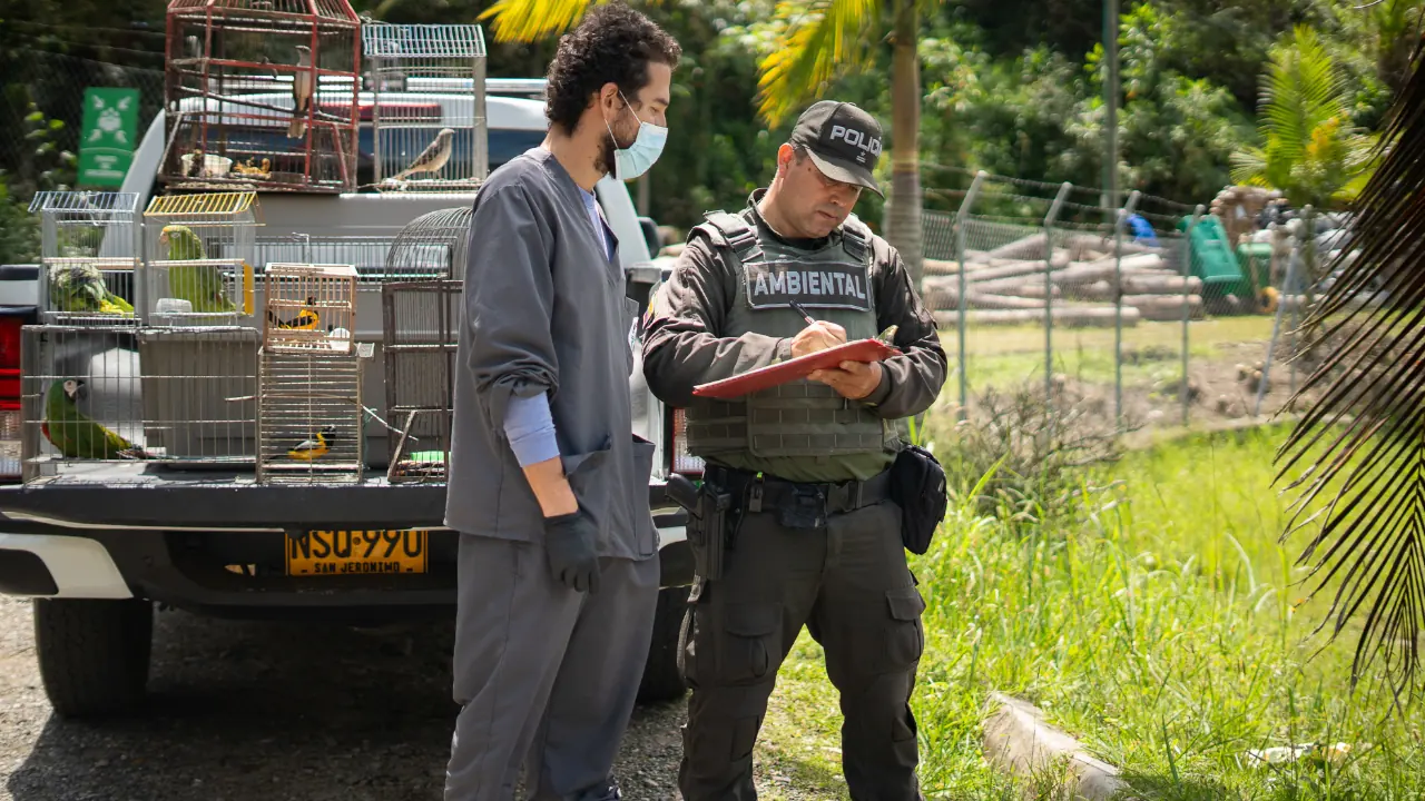 Ocho aves silvestres fueron rescatadas en Guarne y puestas bajo cuidado especializado de Cornare