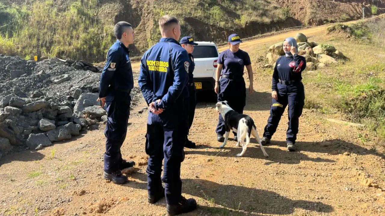 Tres cachorros son entrenados por Bomberos para ayudar en emergencias en Rionegro