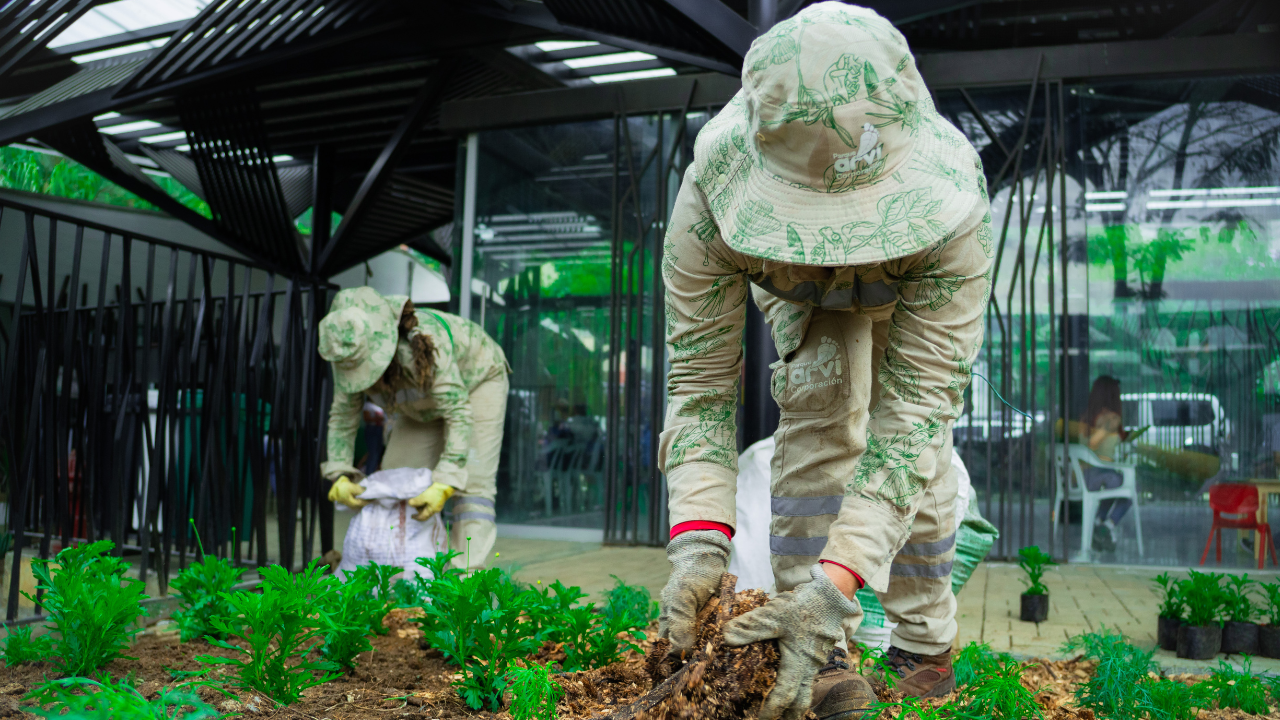 Más de 48.000 árboles sembrados en Medellín para mejorar la calidad del aire