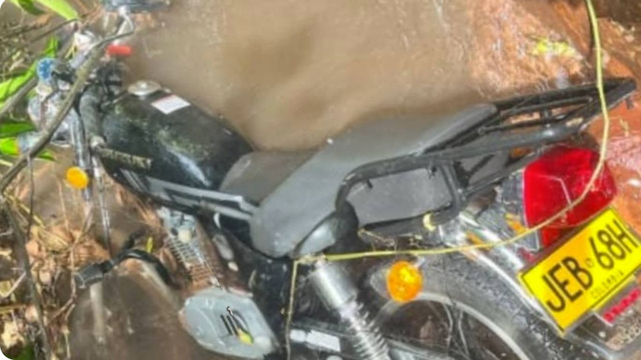 Diseno sin titulo 53