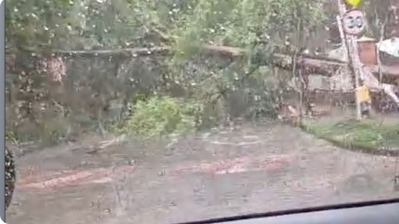 A través de grabaciones ciudadanas, quienes circulan por el sector han hecho un llamado urgente a la prudencia.