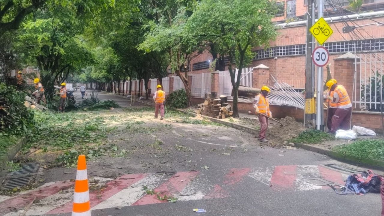 Labores de remoción en Patio Bonito después del aguacero que dejó árboles y redes eléctricas