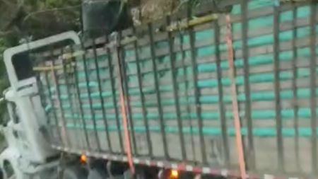 Tractomula terminó fuera de la calzada cerca de una curva en la vía que conecta a Medellín con Bogotá Tractomula terminó fuera de la calzada cerca de una curva en la vía que conecta a Medellín con Bogotá