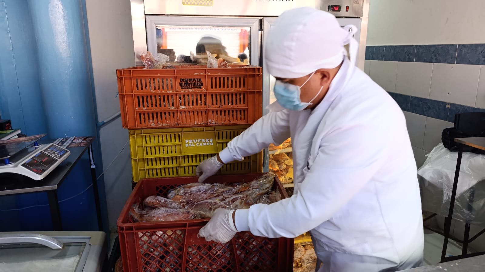 En Bello incautaron media tonelada de pescado en mal estado en plena antesala de Semana Santa