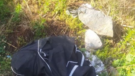 Muerdala muerdala Se escucha en video de una fuerte rina entre estudiantes en Robledo 6