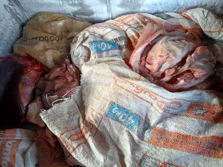 WhatsApp Image 2026 03 04 at 11.06.55 AM