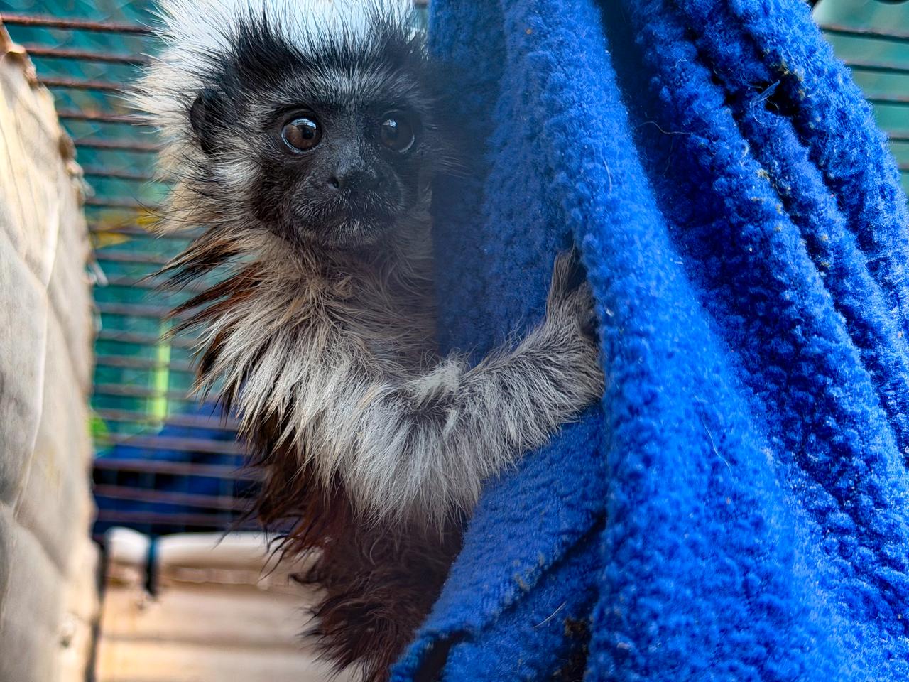 WhatsApp Image 2026 03 30 at 8.11.55 AM